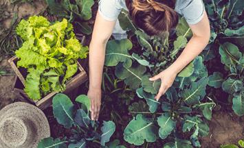 A sustainable difference