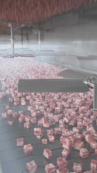 Individual quick freezing - IQF