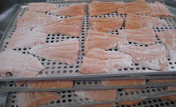 Batch freezing of pharma