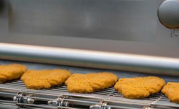 Freezing of schnitzel