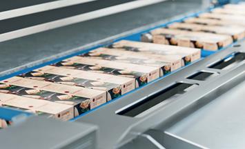 Plate freezing of ready meals