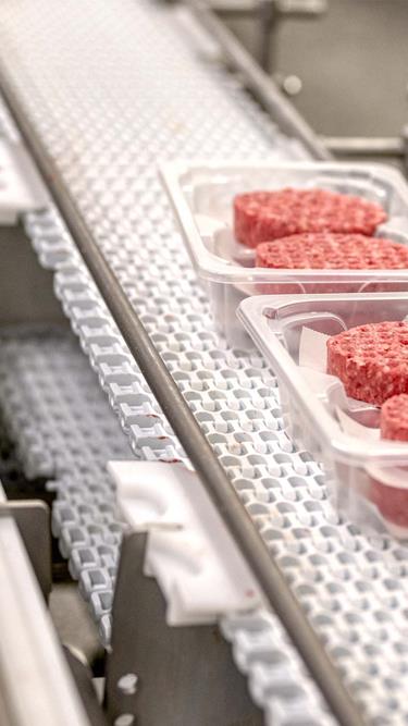 Conveyor solution DSI Dantech